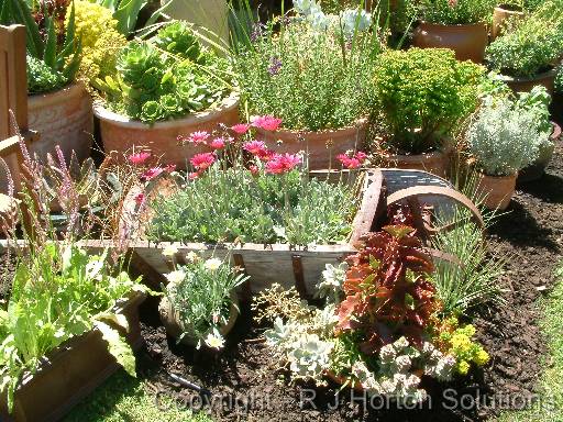 Pot Collection 